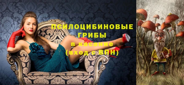 экстази Арсеньев